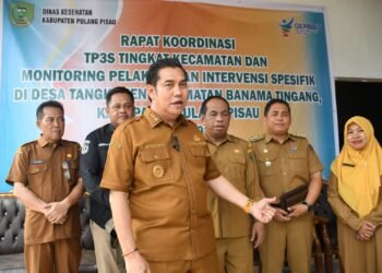 Wabup Ahmad Jayadikarta Dorong Penguatan Intervensi Stunting di Desa Tangkahen