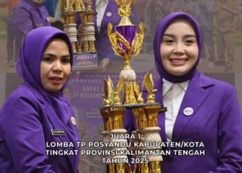 TP Posyandu Pulang Pisau Raih Juara 1 Tingkat Provinsi Kalteng