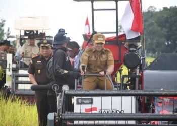 Panen Raya di Maliku, Bupati Pulang Pisau Dorong Produksi Padi Terus Naik