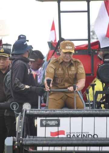Panen Raya di Maliku, Bupati Pulang Pisau Dorong Produksi Padi Terus Naik