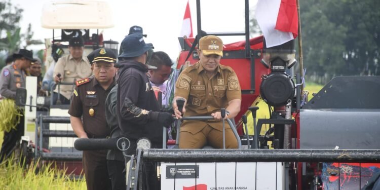 Panen Raya di Maliku, Bupati Pulang Pisau Dorong Produksi Padi Terus Naik