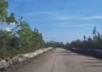 Akses Jalan Antardesa Lancar, Kades Bukit Batu: Terima Kasih Bupati Kapuas