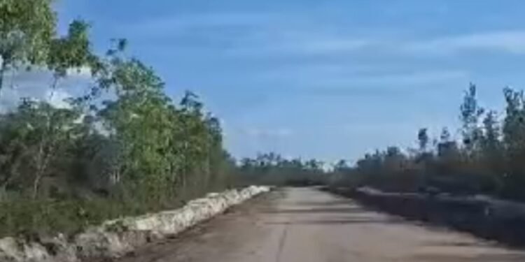 Akses Jalan Antardesa Lancar, Kades Bukit Batu: Terima Kasih Bupati Kapuas