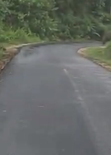 Bupati Wiyatno Muluskan Akses Jalan Antardesa di Pedalaman Pasak Talawang