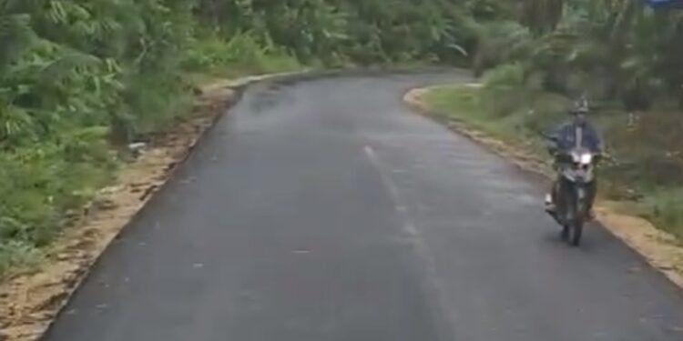 Bupati Wiyatno Muluskan Akses Jalan Antardesa di Pedalaman Pasak Talawang