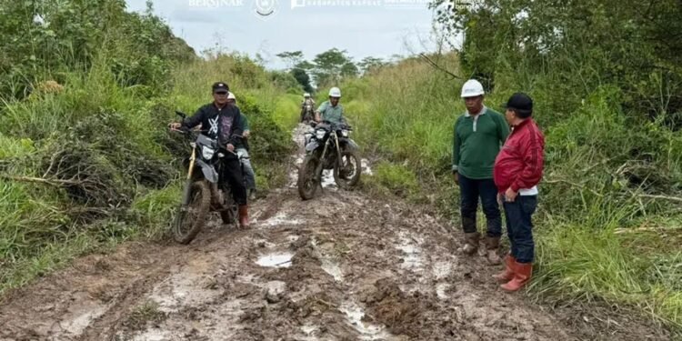 Blusukan Naik Trail, Bupati Kapuas Cek Jalan Rusak Kapuas Kuala–Bataguh