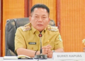 Bupati Kapuas Optimistis Jalan Batanjung-Kuala Kapuas-Mantangai- Timpah-Pujon-Pasak Talawang-Sei Hanyo hingga Sei Pinang 2028 Fungsional